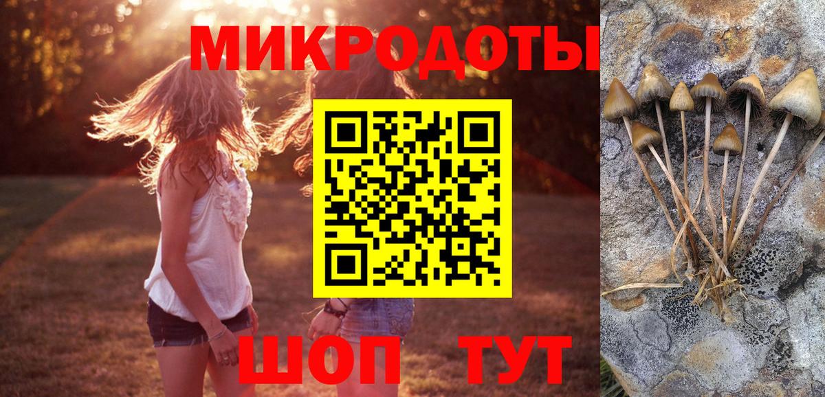 Псилоцибиновые грибы мухоморы Качканар